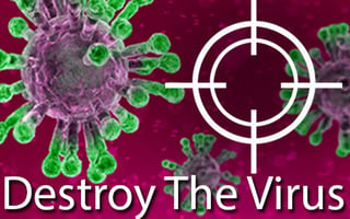 Destroy the Virus