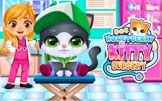 Doc Honeyberry Kitty Surgery game cover