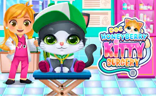 Chirurgie du Chaton Doc HoneyBerry