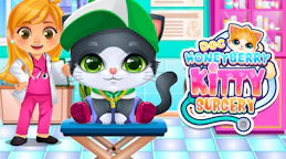 Doc HoneyBerry Kitty Surgery