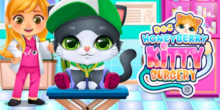 Doc HoneyBerry Kitty Surgery thumbnail