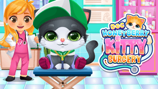 Doc Honeyberry Kitty Surgery game cover