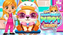 Doc HoneyBerry Puppy Surgery