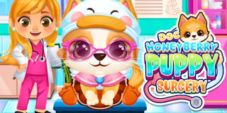 Doc HoneyBerry Puppy Surgery thumbnail