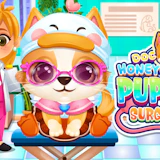Doc HoneyBerry Puppy Surgery
