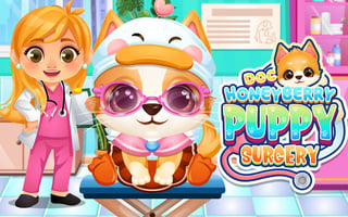 Doc Honeyberry Puppy Surgery game cover