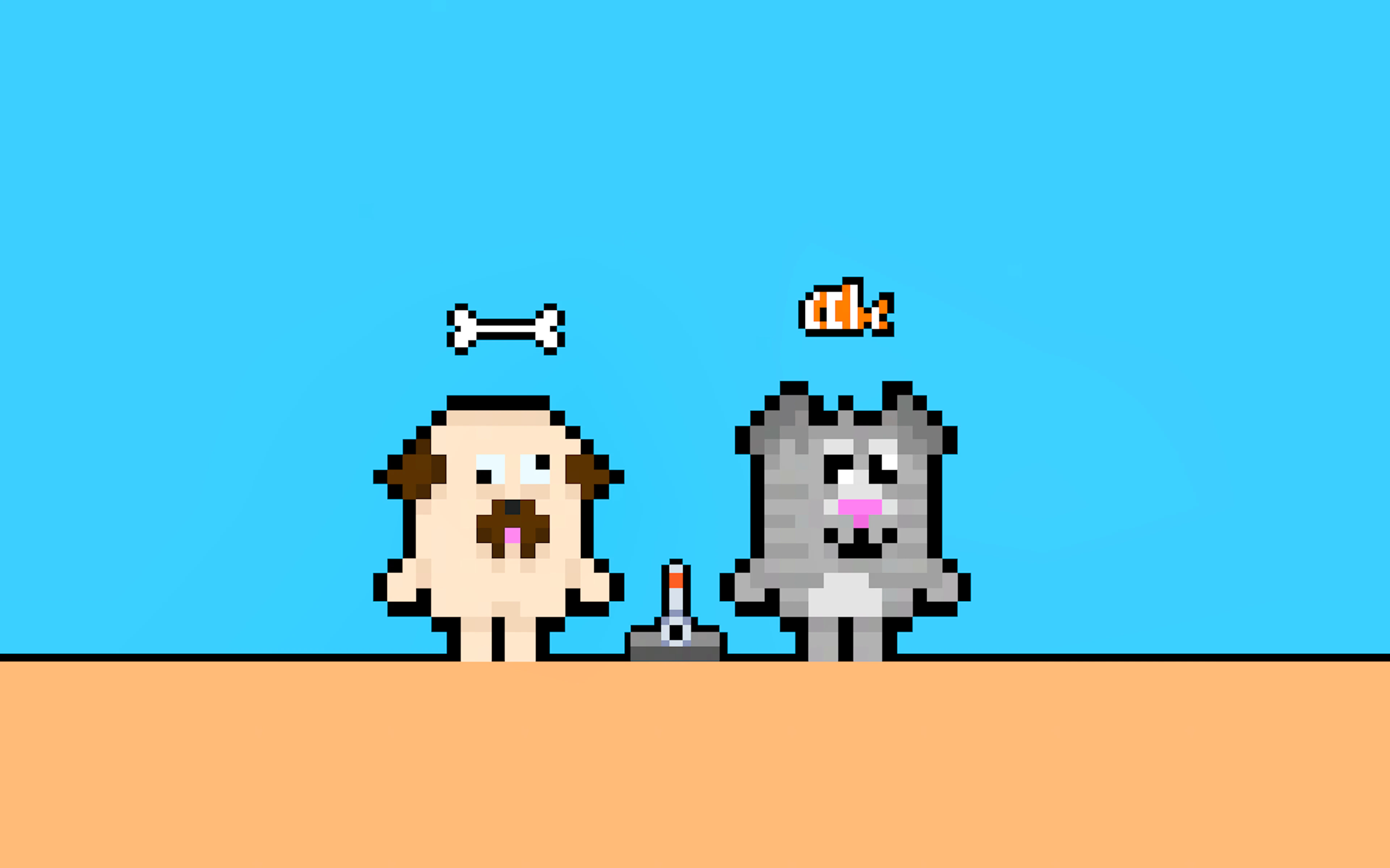 Dog and Cat