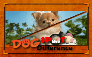 Dog Spot The Difference game cover
