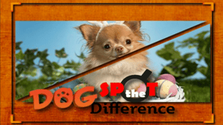 Dog Spot The Difference game cover