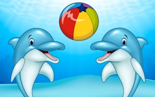 Dolphin Show game cover