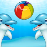 Dolphin Show