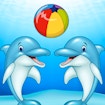 Dolphin Show banner