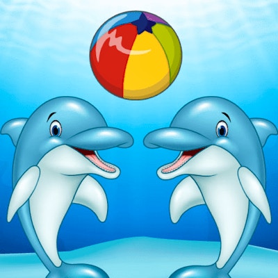 Dolphin Show By Gamepix