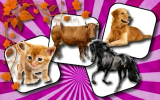 Domestic Animal Memory Challenge game cover