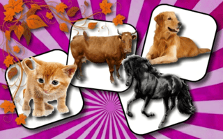 Domestic Animal Memory Challenge game cover