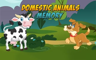 Domestic Animals Memory