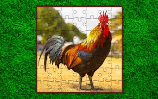 Domestic Birds Puzzle game cover