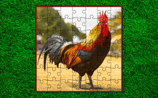 Domestic Birds Puzzle game cover