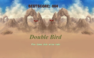 Double Bird game cover