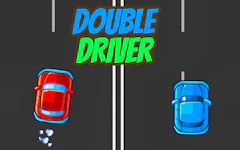 Double Driver