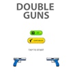 Double Guns 2d Hit banner