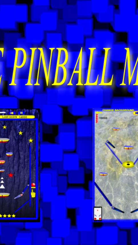 Double Pinball Machine