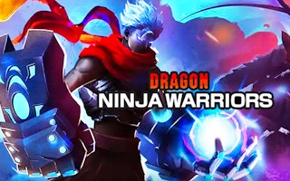 Dragon Ninja Warriors game cover