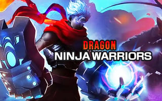 Dragon Ninja Warriors game cover