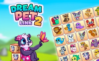 Dream Pet Link 2 game cover