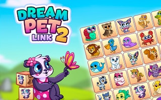 Dream Pet Link 2 game cover