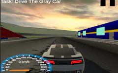 Drive Gray Car
