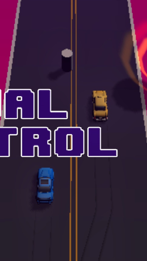 Dual Control Racing