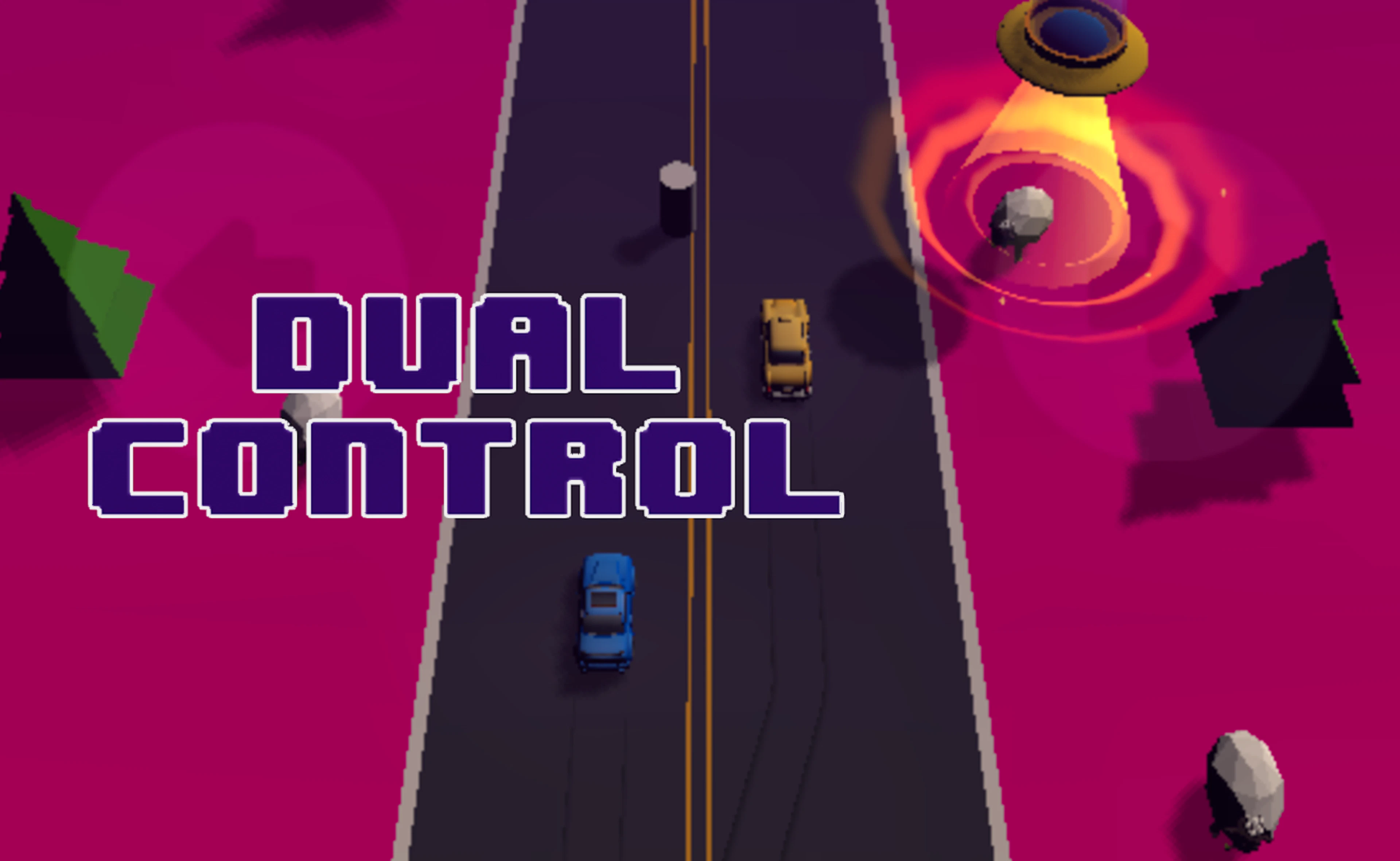 Dual Control Racing