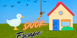 Duck Escape thumbnail