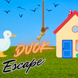 Duck Escape