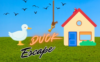Duck Escape game