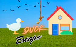 Duck Escape