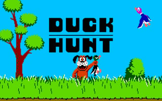 Duck Hunt Nes game cover