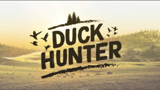 Duck Hunter Game game cover