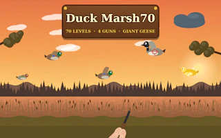 Duck Marsh 70