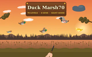 Duck Marsh 70