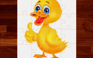 Duck Puzzle Challenge game cover
