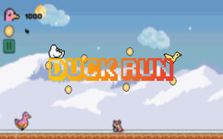 Duck Run game cover