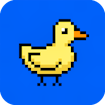 Duck Run