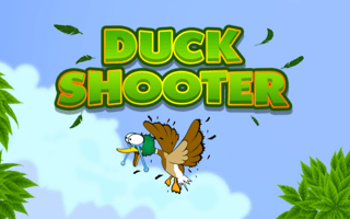 Duck Shooter Game