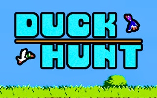 Duckhunt game cover