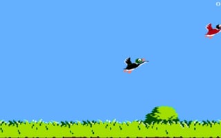 Duckhunt game cover