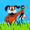 Duckhunt banner