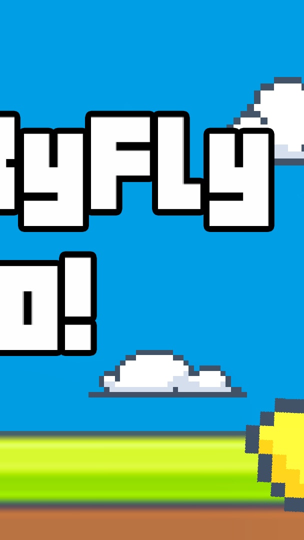 DuckyFly Go!