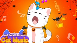Duet Cats Halloween Cat Music